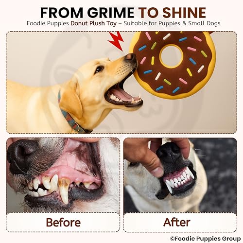 Image of Foodie Puppies Interactive Squeaky Plush Dog Chew Toy - (Sprinkle Doughnut Plush Toy) | Soft Cotton-Filled, Durable & Bite-Resistant for Puppies & Small Dogs | Fun Play, Teething & Dental Exercise