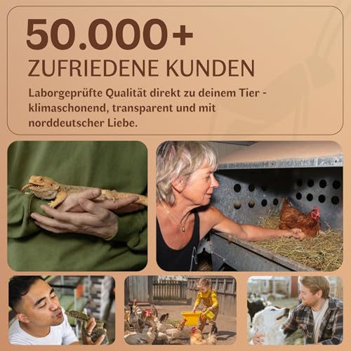 EntoZoo Mehlwürmer getrocknet für Hühner, Vögel & Reptilien - Insektenfutter in Lebensmittelqualität | Vogelfutter, Hühnerfutter, Igelfutter, Reptilienfutter | Ohne Zusatzstoffe | Made in Europe - 1kg
