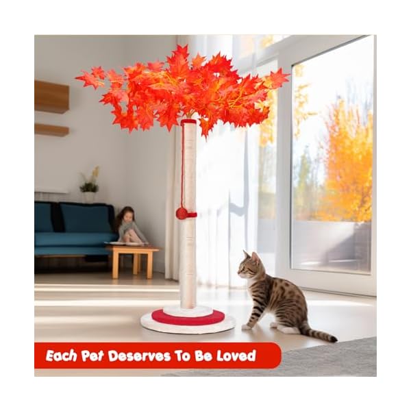 Masthome Kratzbaum für Katzen, 75 cm Kokospalme, Sisalseil von Hoher Qualität, mit Hängekugel, Großer Baumpfosten für Kätzchen und Katzen im Innenbereich – Rot – Bild 3