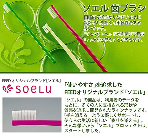 Amazon.co.jp: 歯科専売品 ソエル 歯ブラシ ジュニア （6～12歳）×20本 