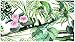 HAOKHOME Tropical Peel and Stick Wallpaper Green Jungle Botanical Floral Removable Wall Paper for Forest Accent Wall Nursery Bathroom Vinyl Contact Paper 17.3in x 118in