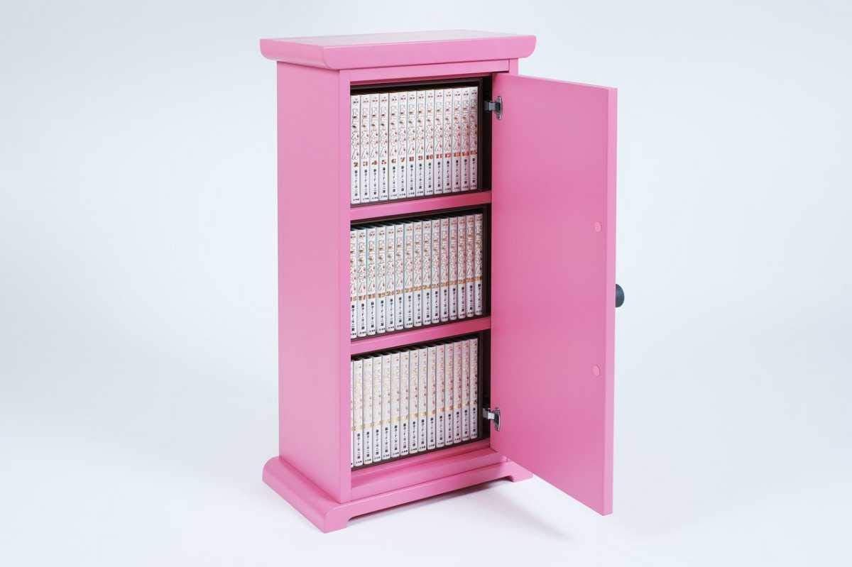 Amazon 未使用100年ドラえもん どこでもドア型本棚 お申し込み用紙 説明書 おもちゃ おもちゃ