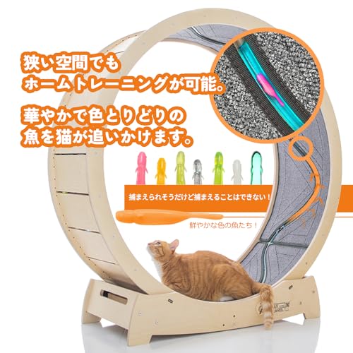 Star Cat Wheel, Cat Treadmill, Exercise Wheel for Running, Spinning, Scratching, and Climbing for Indoor Cats, Premium Birch Wood, Eco-Friendly, Moving Fish, Wide Running Track, 41.7 inch L Size - Image 4
