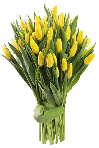 KaBloom-50 Yellow Tulip Bouquet,Flowers for Valentine, Mother's Day
