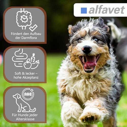 alfavet CaniGum Glanduvet, Kaudrops für Hunde bei Analdrüsenverstopfung, unterstützt Kotqualität und Darmwohl, Diät-Ergänzungsfuttermittel, Analdrüsenkur für Hunde 300 g