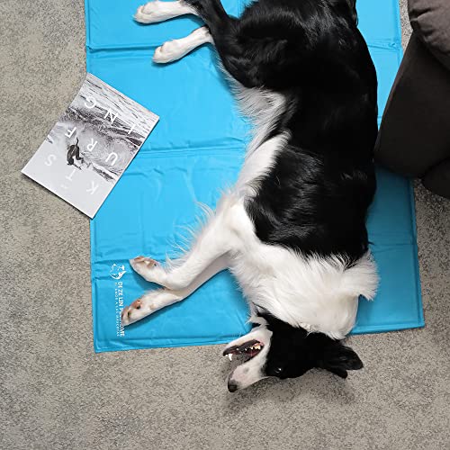 SMELL & SMILE Tappetino rinfrescante per cani