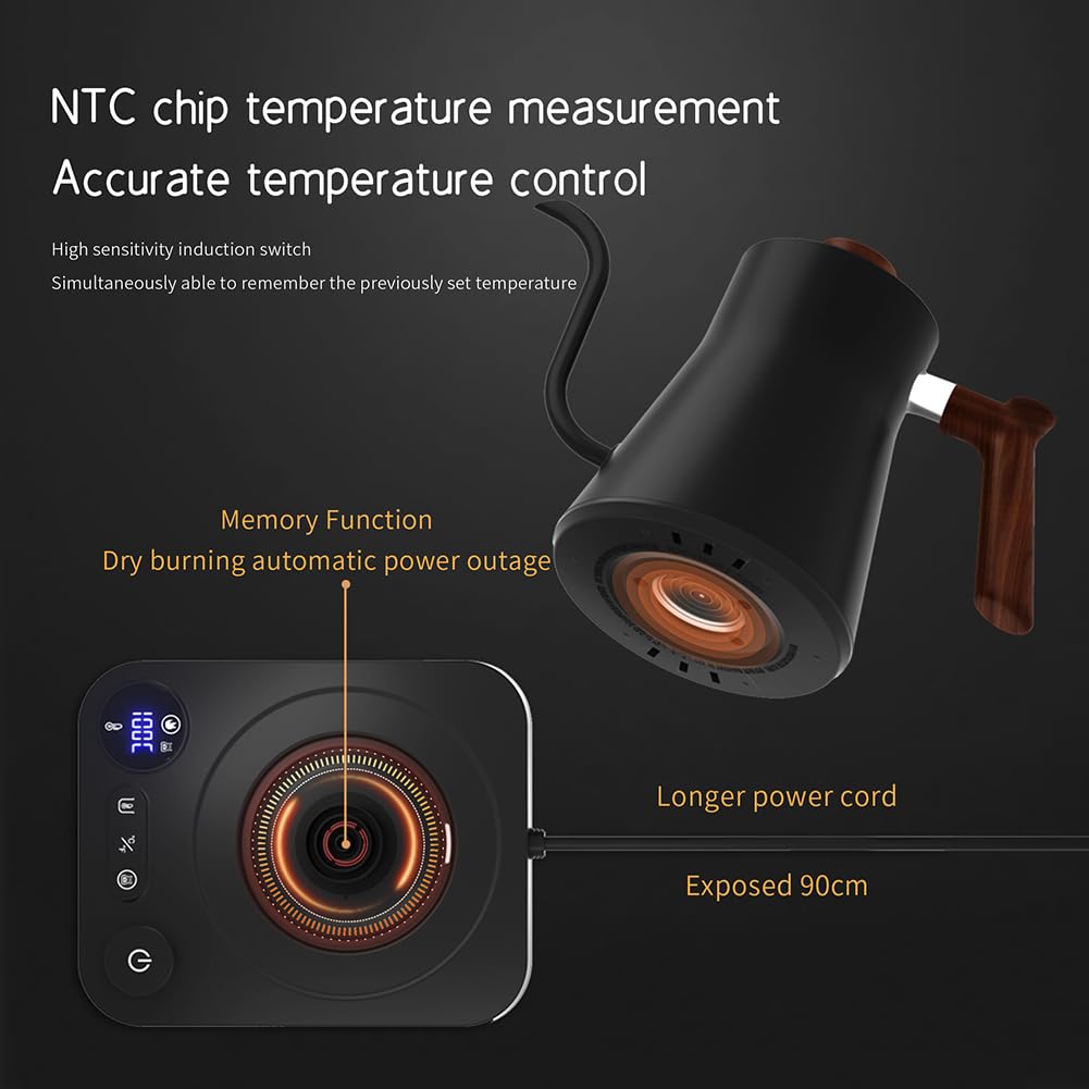 Bollitore Elettrico A Collo di Cigno, Bollitore in Acciaio Inossidabile con Display della Temperatura, Spegnimento Automatico E Controllo della Temperatura, Bollitore per caffè E tè, Teiera A Black
