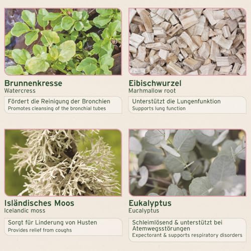 AniForte Bronchialkräuter Pferd 1kg - Natürliche Kräuter mit Methylcystein, bei Husten & Schnupfen, Atemwegskräuter Pferd als Ergänzungsfutter, Pferde Hustenkräuter für freie Atemwege