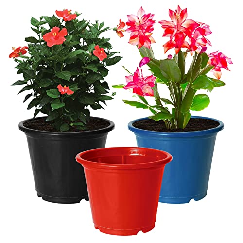 Image of Kuber Industries Durable Plastic Flower Pot|Gamla for Indoor Home Decor & Outdoor Balcony,Garden,6 inchx5 inch,Pack of 3 (Black,Blue,Red)