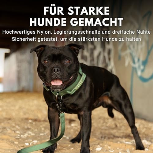 Spark Paws Taktisches Hundehalsband – Robuste, Premium-Qualität, Dick und Langlebig für Große und Mittelgroße Hunde - Army Green - L, 5cm