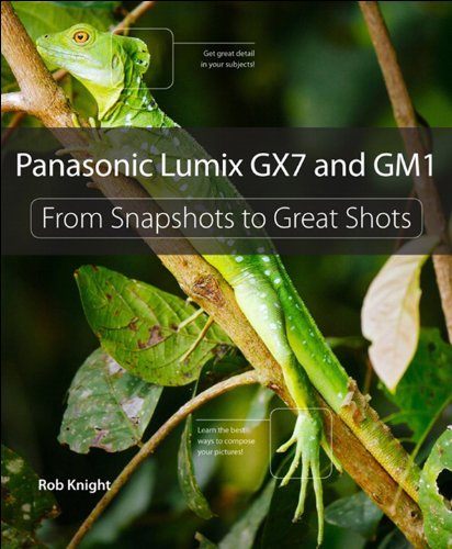 Télécharger Panasonic Lumix GX7 and GM1: From Snapshots to Great Shots (English Edition) Francais PDF