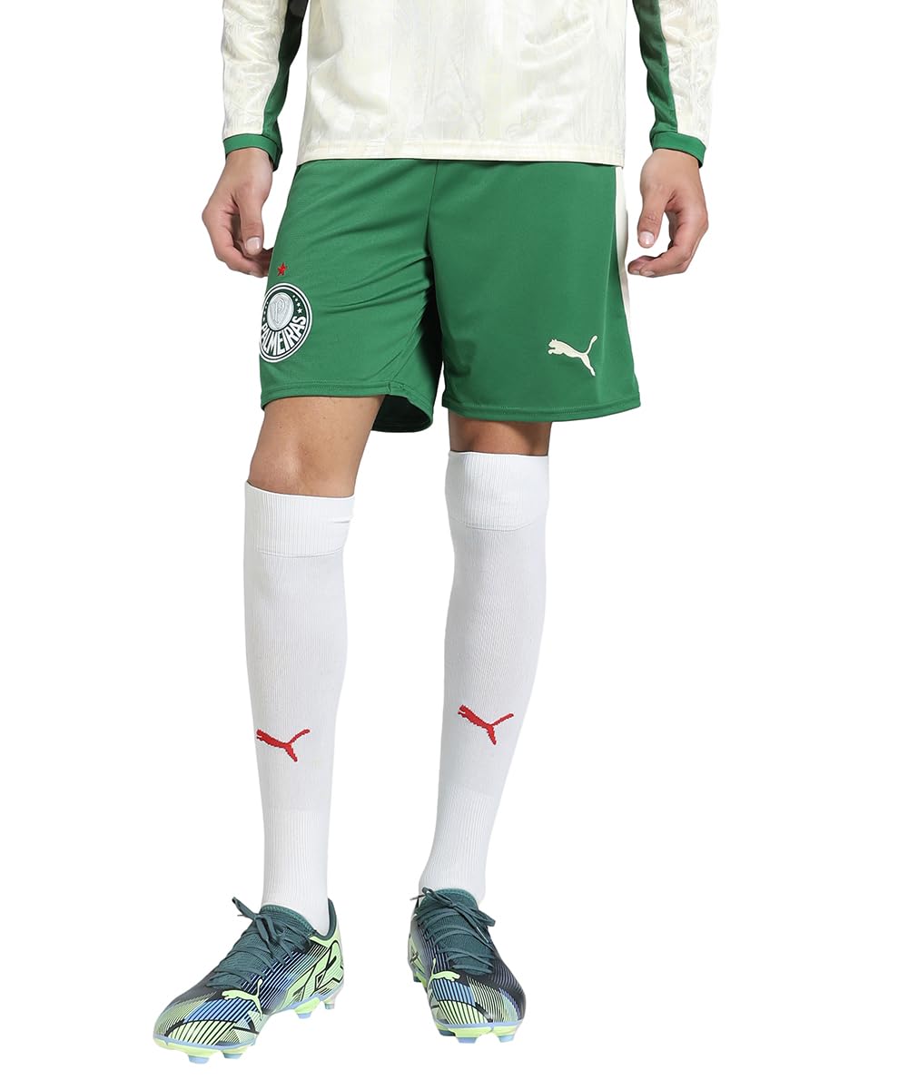 puma Men's Hybrid Shorts-picture-17