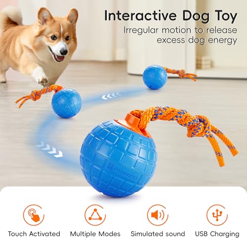 Jouet sonore pour chien rechargeable idéal pour rompre l'ennui - 3