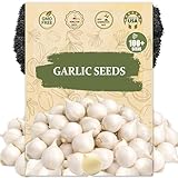 Garlic Seeds for Planting (Allium sativum) - 100+ Heirloom Non-GMO - Easy-Grow Culinary Herb – Robust Flavor, Cold-Hardy, Perennial Vegetable for Home Gardens