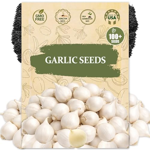 Garlic Seeds for Planting (Allium sativum) - 100+ Heirloom Non-GMO - Easy-Grow Culinary Herb – Robust Flavor, Cold-Hardy, Perennial Vegetable for Home Gardens
