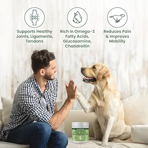 Green-Lipped-Mussels-for-Dogs-Cats-Premium-Joint-Supplement-Powder-for-HIPS-Joints-and-Muscles-75-Grams-Up-to-250-Servings - Cucciolini Doodles   Green-Lipped-Mussels-for-Dogs-Cats-Premium-Joint-Supplement-Powder-for-HIPS-Joints-and-Muscles-75-Grams-Up-to-250-Servings