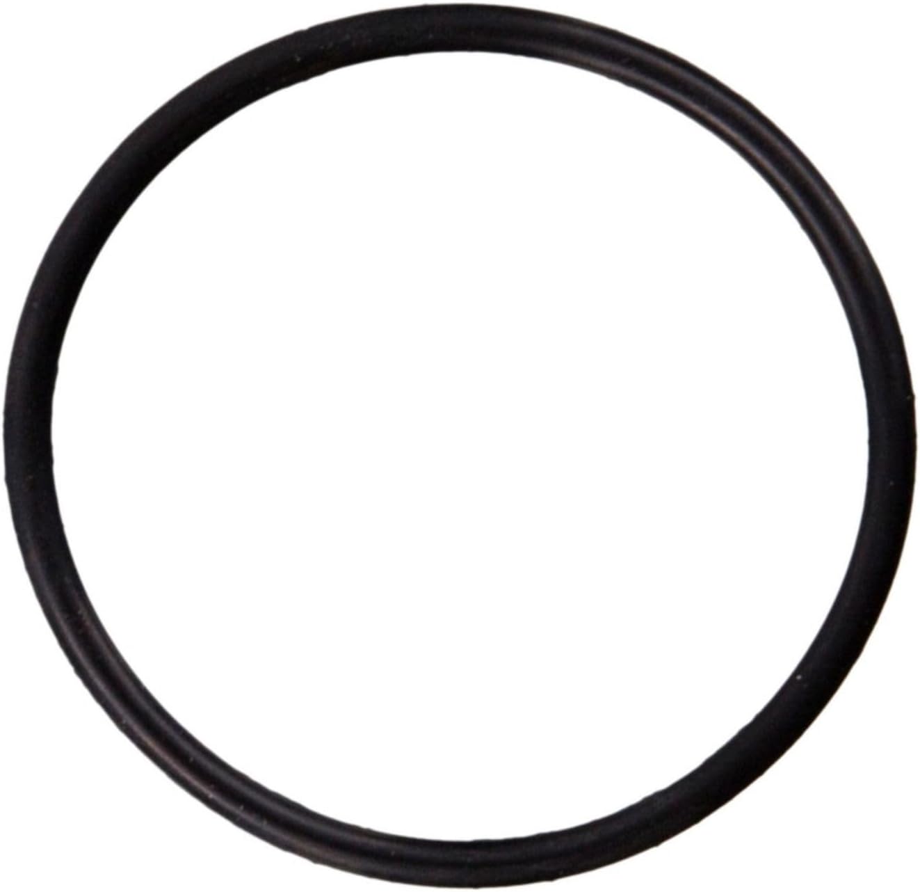 O-Ring (71857)