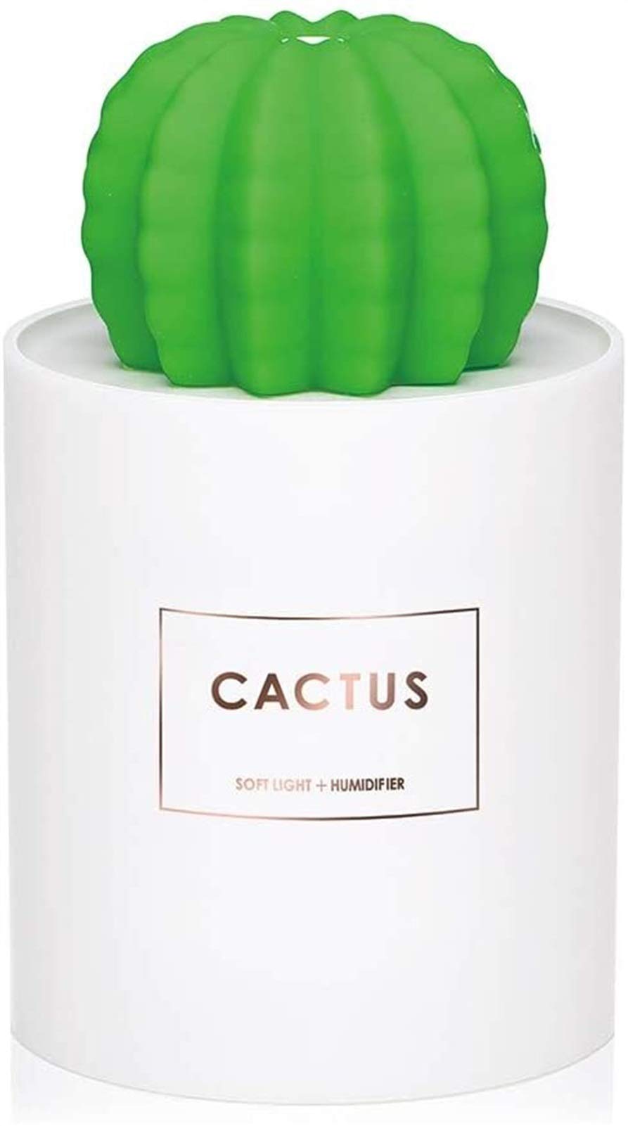 Humidificateur de voiture USB et mini veilleuse cactus pour vos trajets