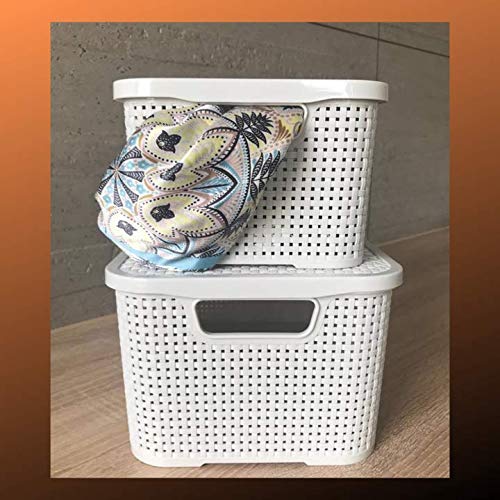 BranQ - Home essential universeller, multifunktionaler Korb in Rattan Design, Grösse M 10 l, BPA-frei Kunststoff PP, Creme, 28,8x19,7x16,2 cm