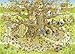 Heye 29833 Monkey Habitat Puzzles