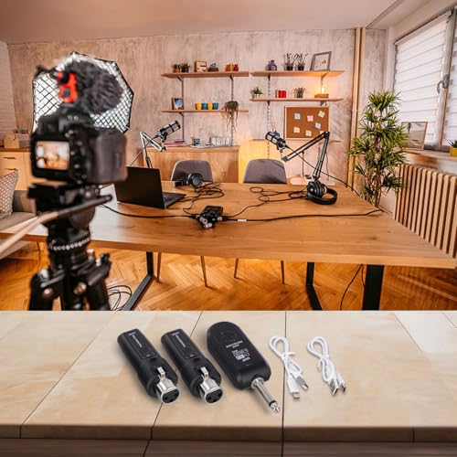 Sistema inalámbrico UHF de guitarra FABULETTA 550 MHz con transmisor y receptor XLR, kit para micrófono dinámico y mezclador de audio profesional (1 bandeja, 2 unidades) miniatura 4