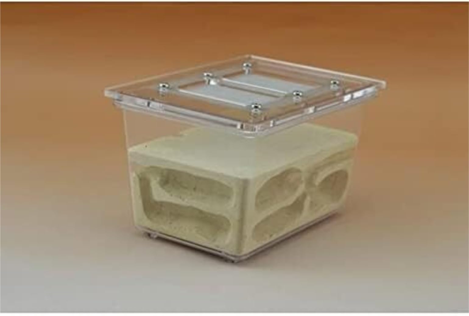 Formicario Ant Castle Research Ecosystem Farm Piccolo Formicaio Tetraedrico 5,1x3,5x3,1 Pollici Nest Habitat Nido Terrario