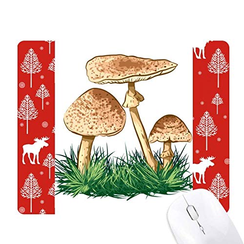 Plante truffe illustrée La Souris Noël Woods pour un cadeau de fin d'année magique