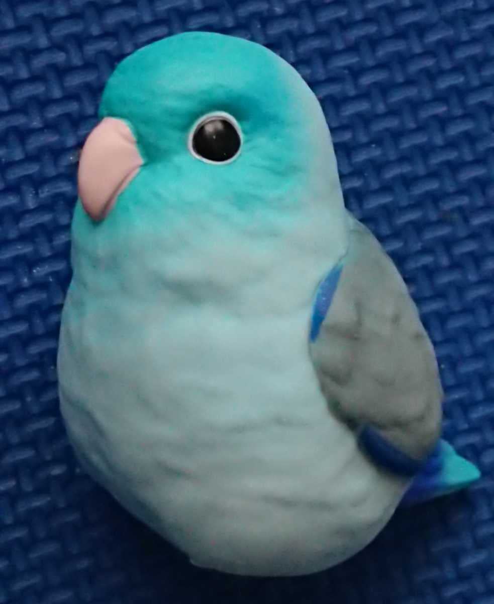 Amazon.co.jp: 画像必見 マメルリハインコ てのりフレンズ 検索:小鳥