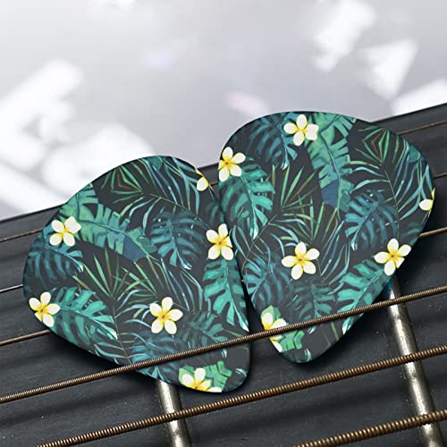 Ensemble de 12 médiators de guitare hawaïenne pour guitare acoustique, guitare électrique, contrebasse, ukulélé - Les Beatles, Paul McCartney, John Lennon, RIngo Starr, George Harrison Ensemble de 12 médiators de guitare hawaïenne pour guitare acoustique, guitare électrique, contrebasse, ukulélé – Image 8