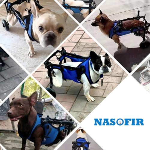 Silla de ruedas para perros ajustable: el mejor soporte para su compañero de vida 7