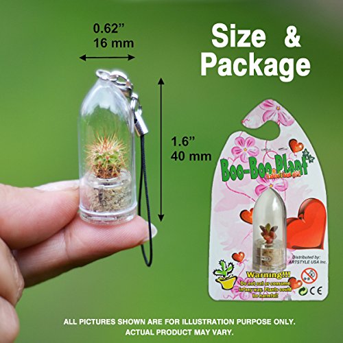 Fluffy Cactus Live Terrarium Plant Keychain Accessory #TOP4