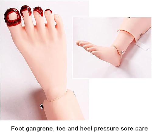 Xaronf Multi Functional Trauma Care Manikin thumb #4
