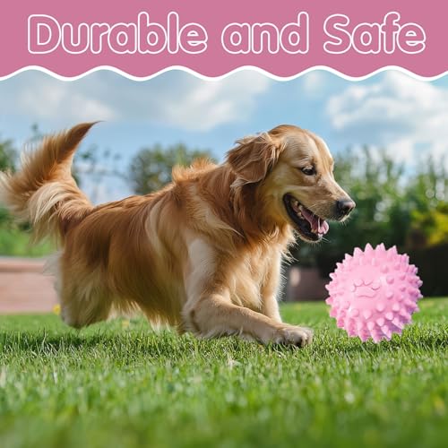 Ajuanbazha 5 Stück Hundespielzeug Set, Kauspielzeug für Welpen und Kleine Hunde mit Ball und Baumwollseilen, Interaktives Spielzeug zur Zahnpflege und Stressabbau
