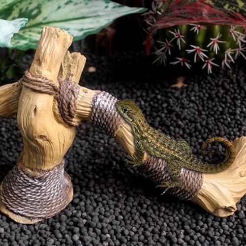 Branches de terrarium durables pour résoudre les problèmes d'humidité - 3
