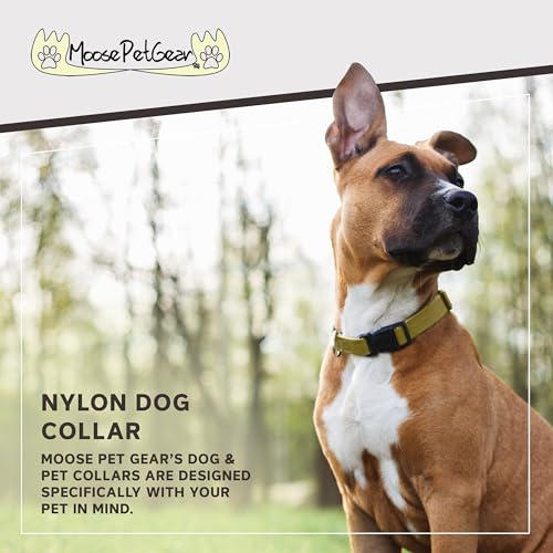 Image of Dog Collar - Colored Adjustable Pet Collars, 1 Inch Wide, Extra Large, Tan