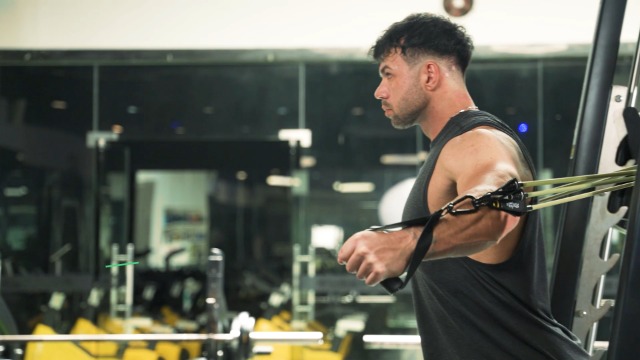 Resistance Bands Set - Workouts Bands for Men and Women, Exercise Bands with Handle, Door Anchor, Legs Ankle Straps… - Image 8