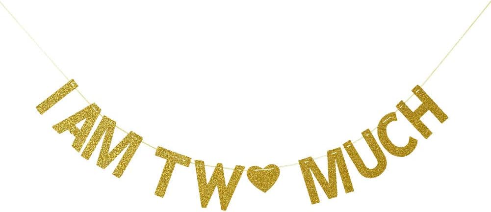 I Am Two Much Banner for 2nd Anniversary Birthday Party Decorations - Gold Glitter