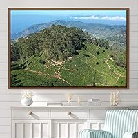 Framed Canvas Wall Art Greenlands Aerial Dark Farmhouse/Country Green Nature Photography Realism Relax/Calm - 16x24 inches