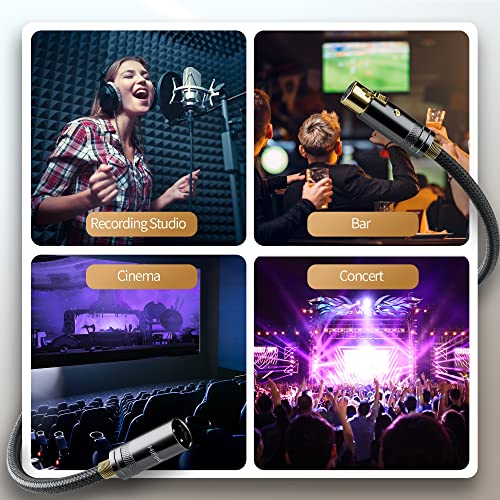 Hifind Xlr Cable Microphone Cable 10 Ft (Real Hi-Fi Sound-Silver Plated Copper-Spring Sr) Balanced Xlr Speaker Cable,3-Pin Shielded Male To Female Mic Cord,Dmx Stage Lighting Cable For Speaker Systems #TOP5