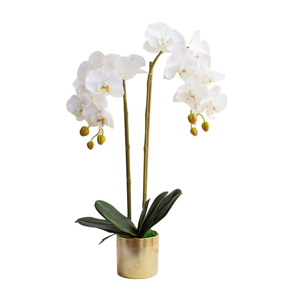 DFGHNBVC Artificial Flower Set, Phalaenopsis Artificial Flowers With Planter Artificial Orchid In Vase Fake Flower For Living Room Arrangements Decoration Beautiful Artificial Flowers And
