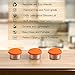 SUKKI Stainless Steel Condiment Containers - 4 PCS Salad Dressing Containers with Food Grade and Leakproof Silicone Lids - 2x3.4oz +2x1.8oz for Snacks, Desserts, Souffle, Baby Food