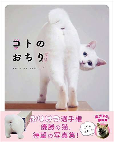 コトのおちり コトのおちり