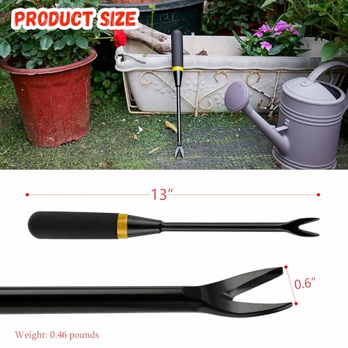 Kemaier Heavy Duty Weeding Tool