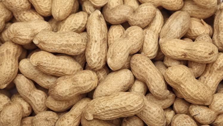 advancedestore Roasted Groundnut With Shell | Bhuni Sabut Mungfali | भुनी साबुत मूंगफली (450 gm) (B0BJZ8FC77) Amazon Price History, Amazon Price Tracker