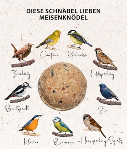 Dehner Natura Premium Meisenknödelring gefüllt, inkl. 10 Meisenknödel ohne Netz, ganzjähriges Wildvogelfutter fettreich / energiereich, hochwertiges Vogelfutter für Wildvögel, Metall, ca. Ø 24.5 cm