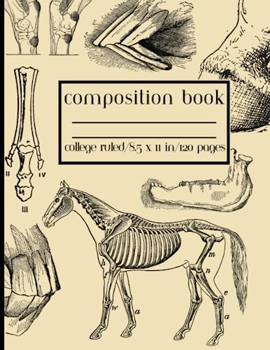 Vintage Horse Anatomy Composition Book: for Veterinary Students, Techs, Equine Lovers | 8.5x11 College Ruled 120 pages: Antique Equine Illustrations Notebook for Veterinarian Gift Ideas