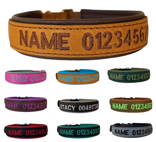 Hundehalsband Leder personalisiert - kleine und große Hunde (XS-XXL) | mit Name + Telefonnummer, MADE IN GERMANY, hochwertiges Hundehalsband aus Leder, verstellbar für kleine + große Hunde