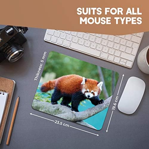 Rectangle Mouse Mat - Wild Red Panda Nature Animal Bear 23.5 x 19.6 cm (9.3 x 7.7 inches) for Computer & Laptop, Office, Non-slip Base #46441