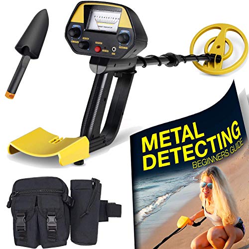 13 Best Underwater Metal Detector in 2022 Reviews