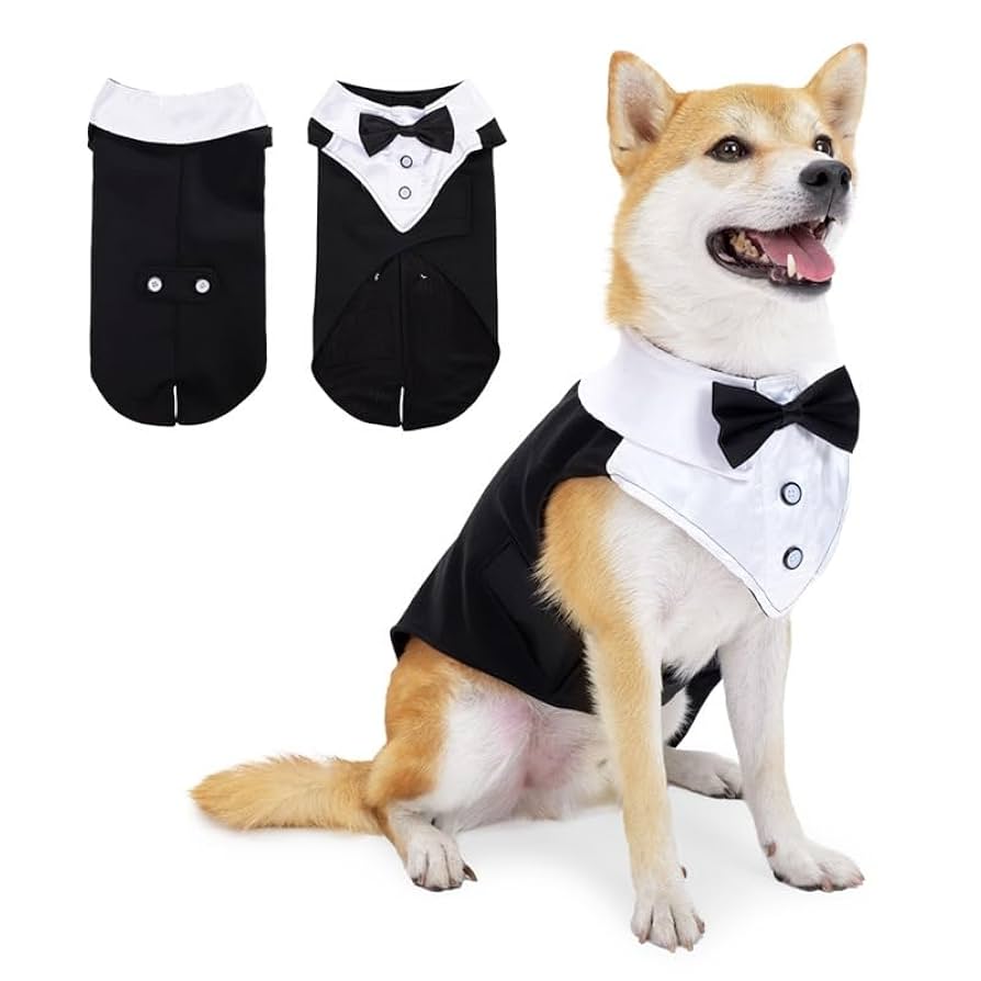 犬服　アメリカン　見本 楽天市場】アメカジスウェットワンピ XS/S/M/L/XL D's Chat